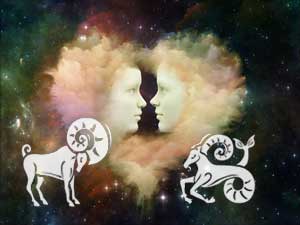 Widder mit Partner Steinbock