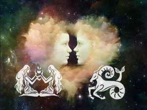 Widder mit Partner Steinbock