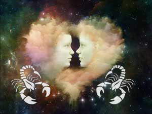 Skorpion mit Partner Skorpion